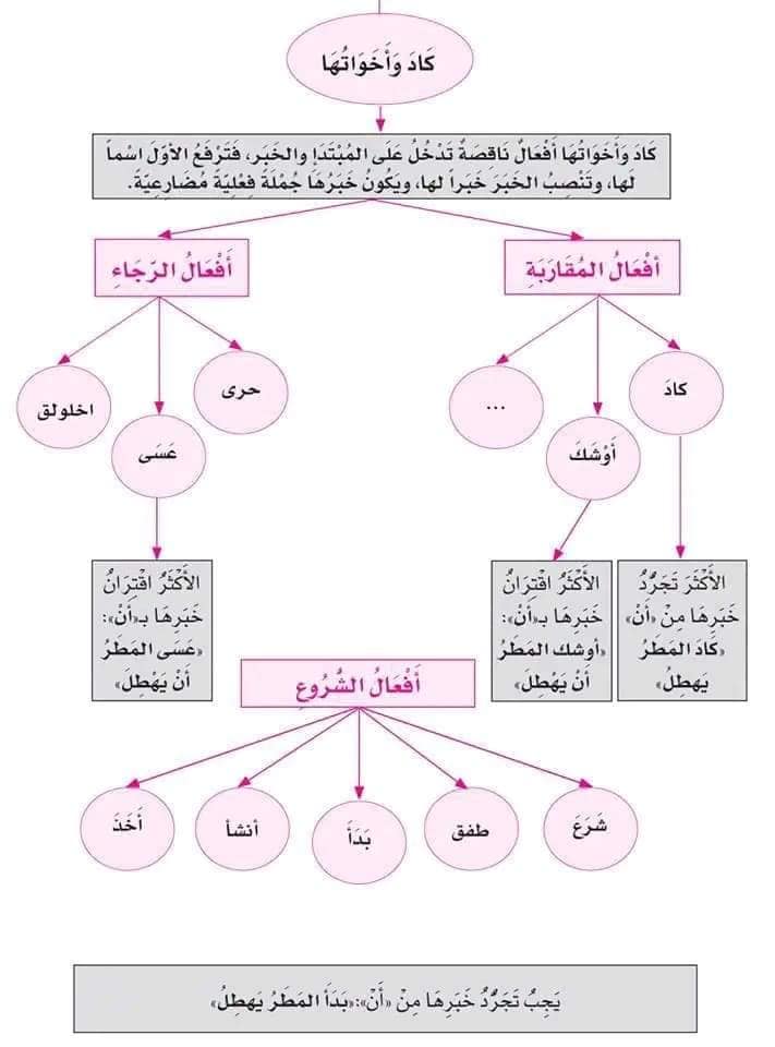 NDQ3NjMyMC4wNzE0 شرح و تلخيص درس افعال المقاربة و الرجاء و الشروع للصف الاول الثانوي الفصل الاول 2023